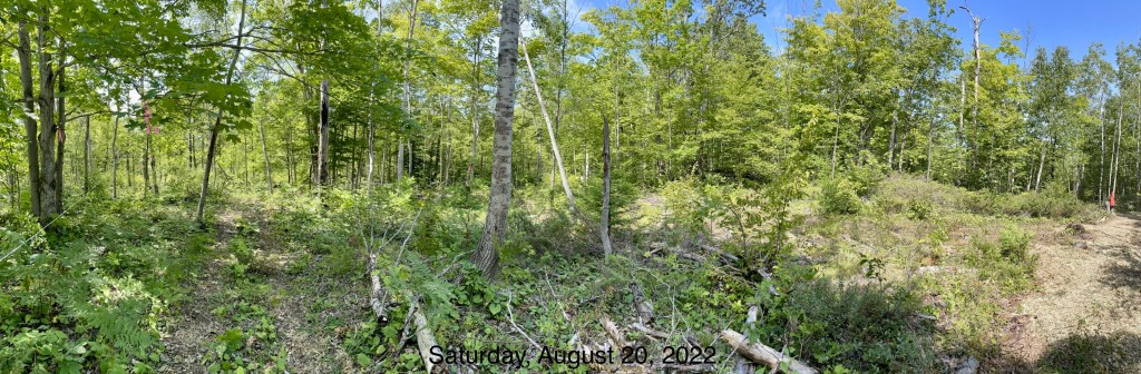 An image of the future back yard.