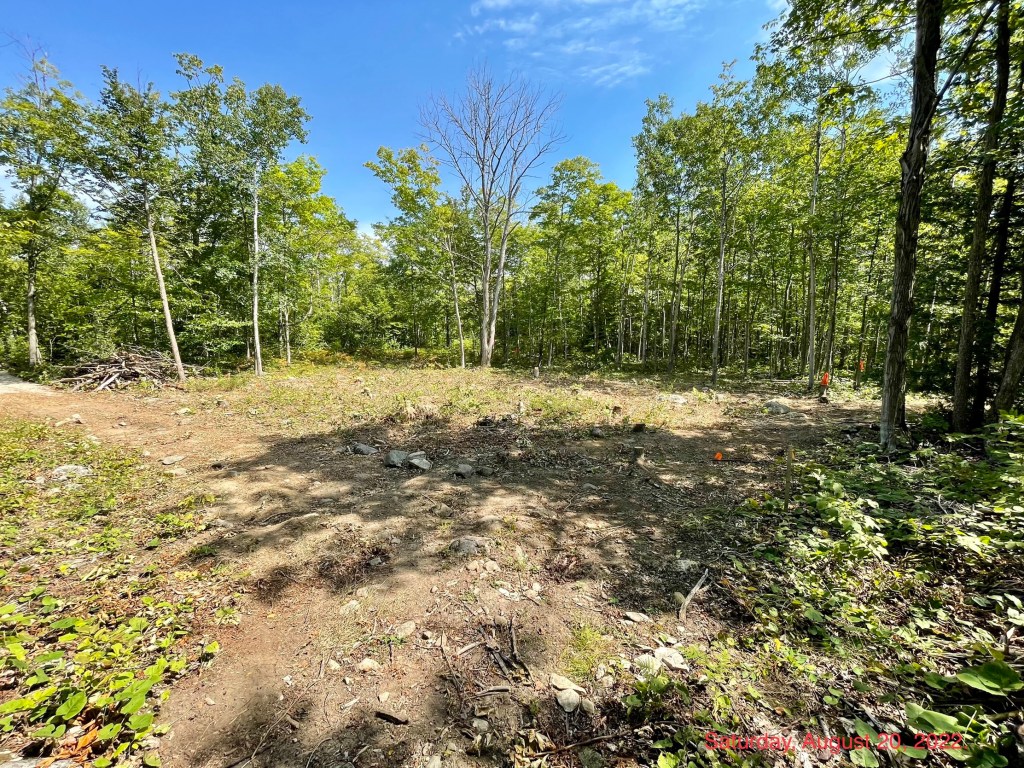 Image of future BCB&B site.