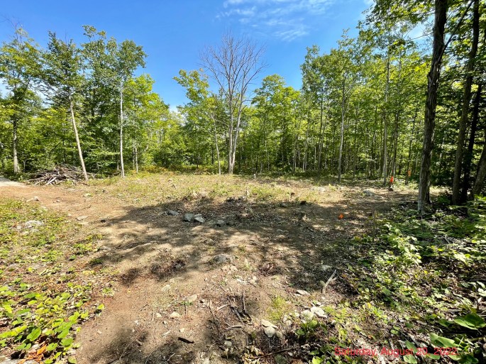 Image of future BCB&B site.