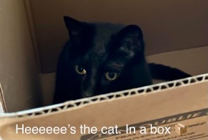 this is an image of 1 of 2 beasts; see item (f).