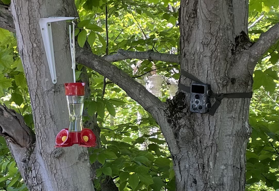 Details. Nuances. Ridiculous facts and figures. Black Cat Bed And Breakfast