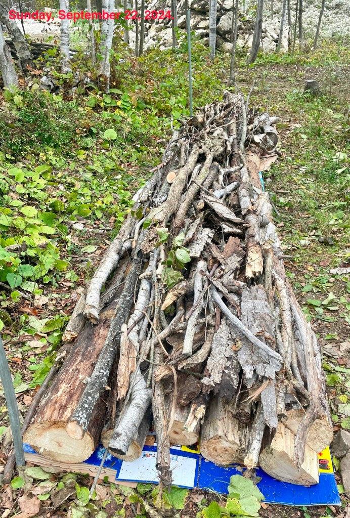 More short twigs are stuffed into the gaps.