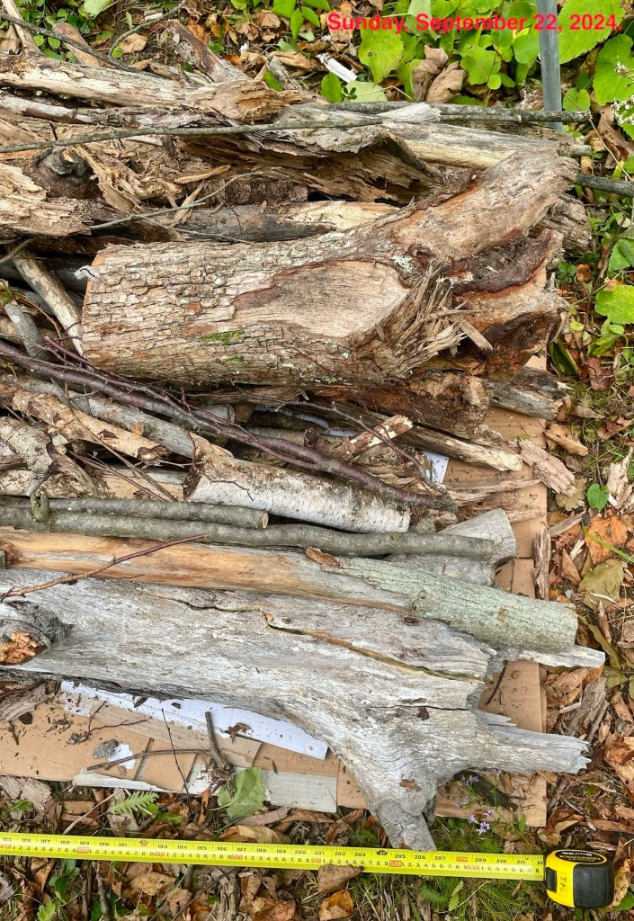 Measuring the foundation.