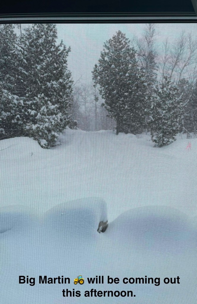 the driveway is covered with snow
