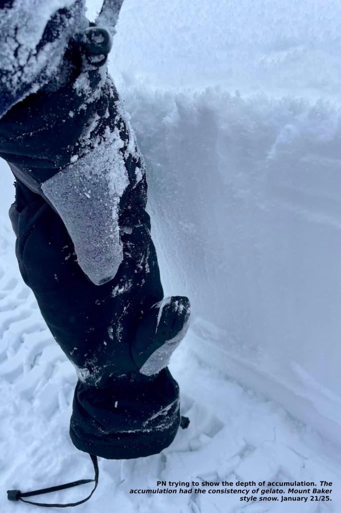 the snow accumulation is about the depth of my forearm