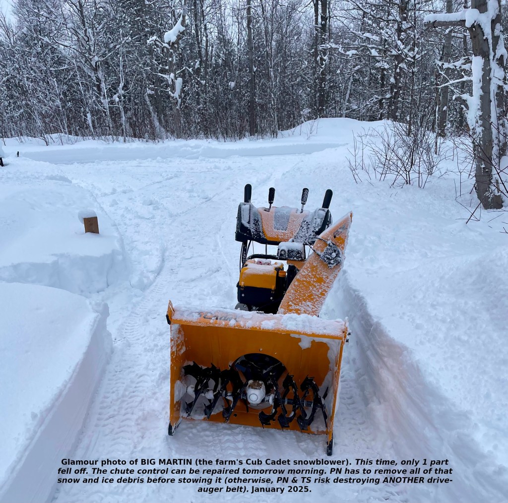 glamour photo of the snowblower