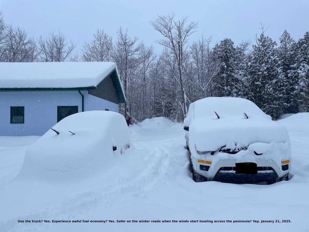 the vehicles look like snow-covered bugs with their wipers elevated