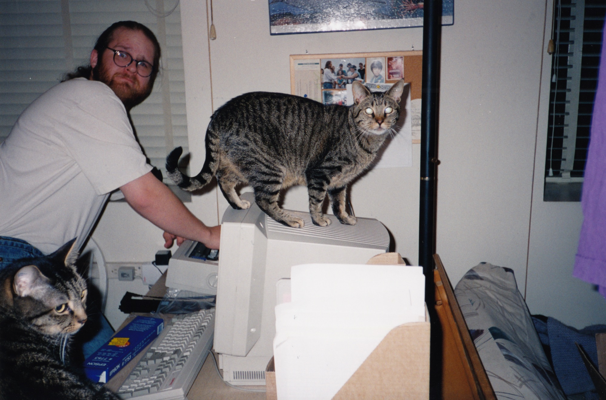 this is an image taken before 2000.