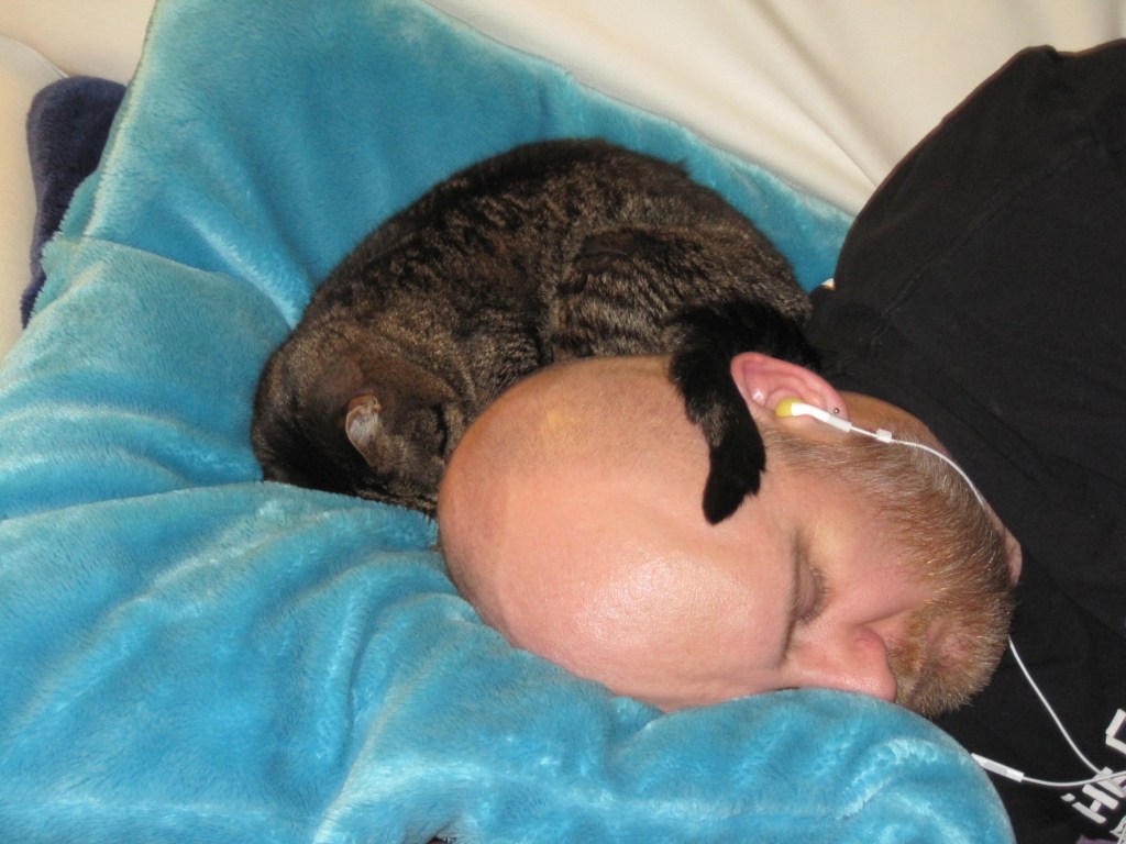 cat and human in 2012.