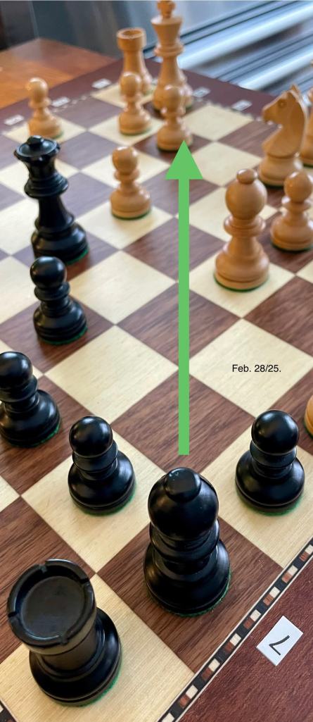 black's point of view