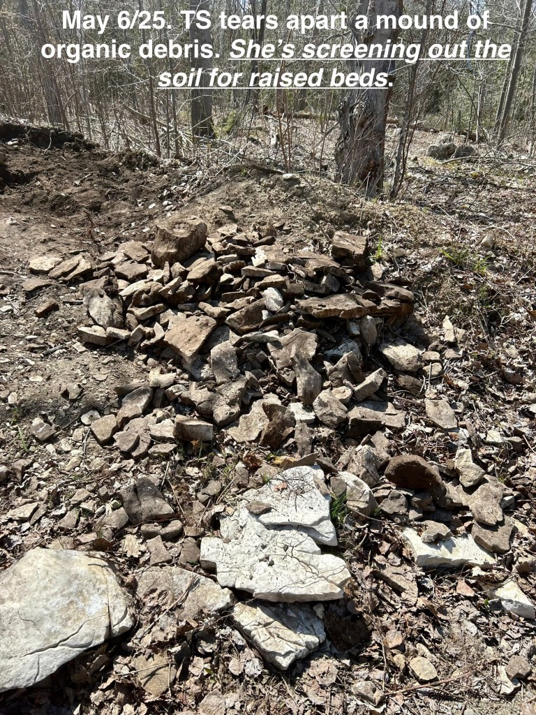 soil recovery on the farm