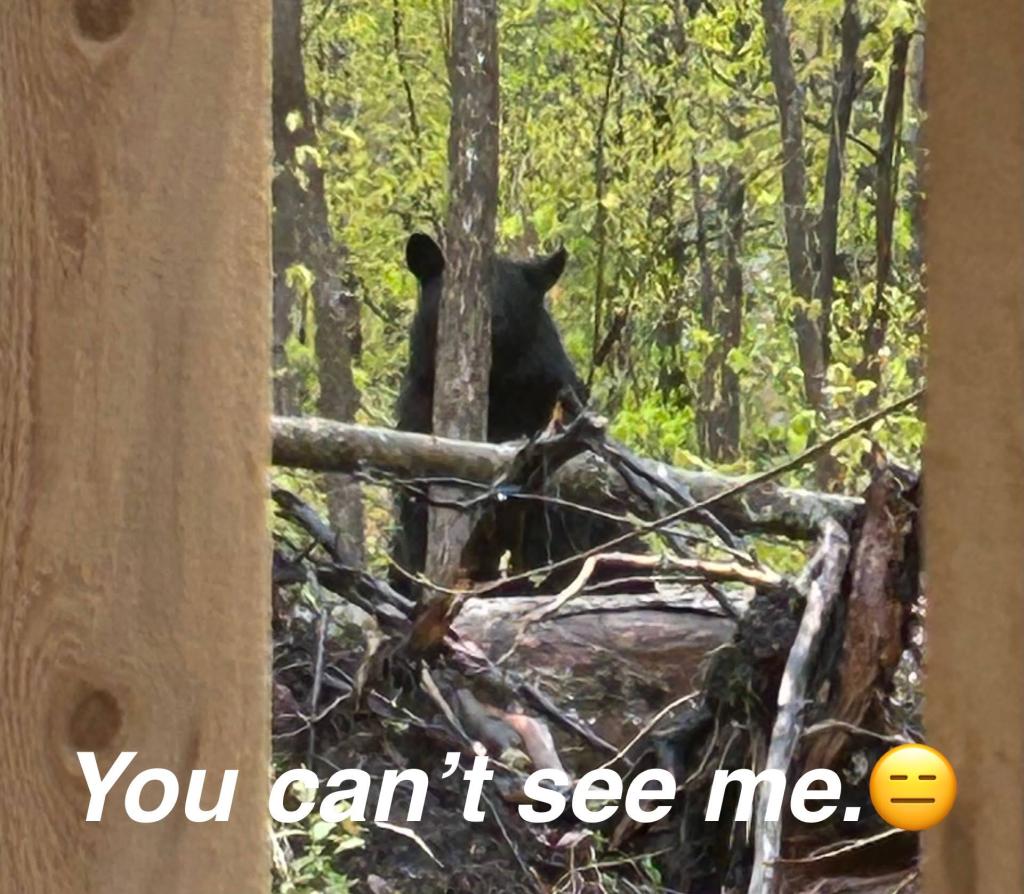 black furry ding dongs