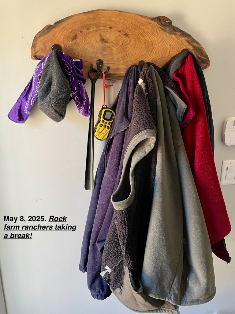 day-to-day garments for outside