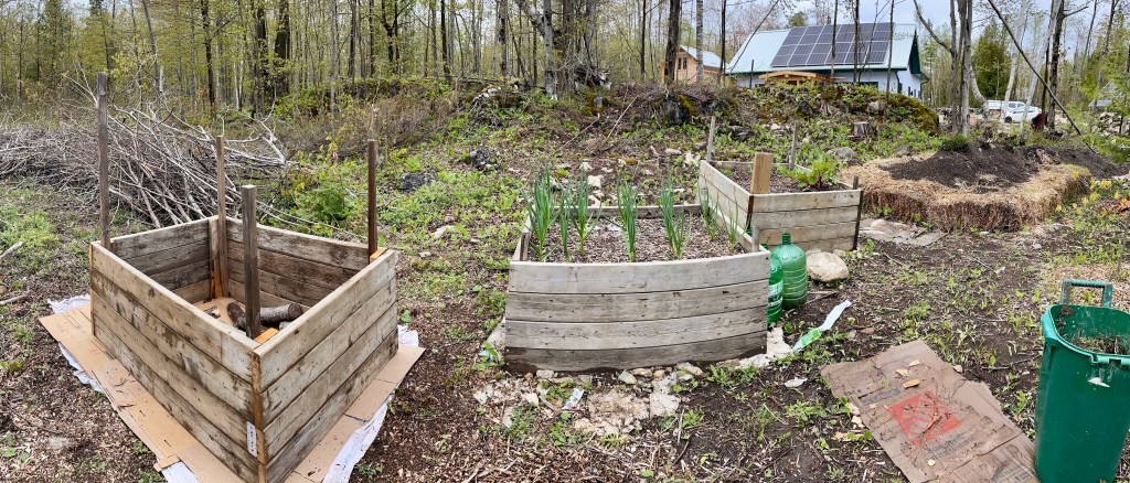 a panorama of above-ground vegetable beds