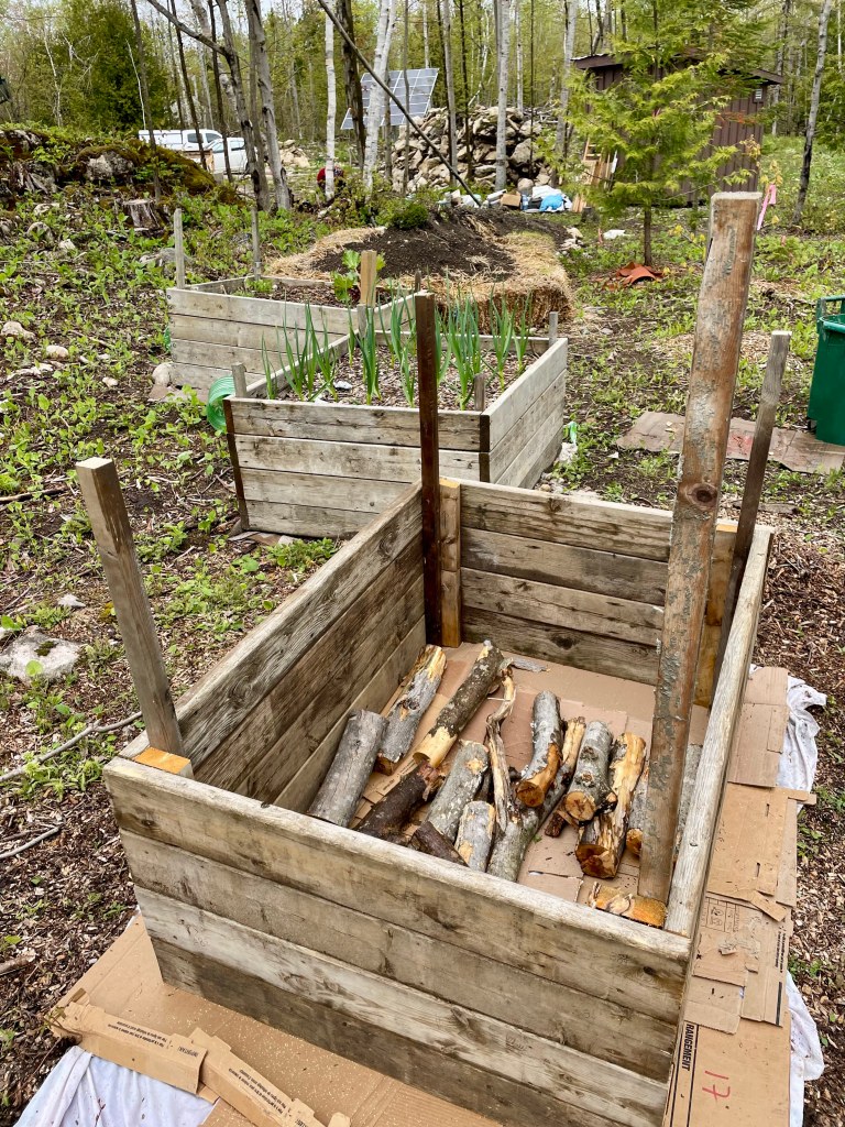 hugelkultur in progress