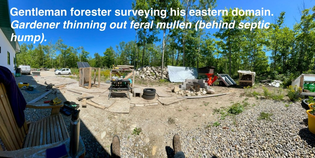 panorama of the east lawn