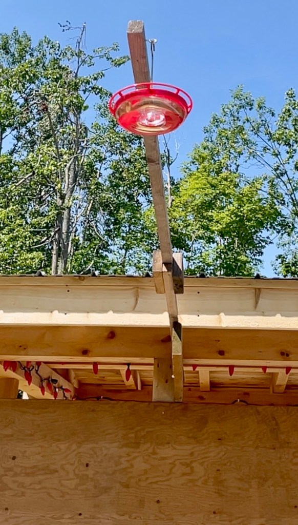 feeder shown spanning out from pavilion