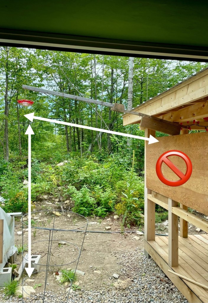 the view from the living room at the bird feeder