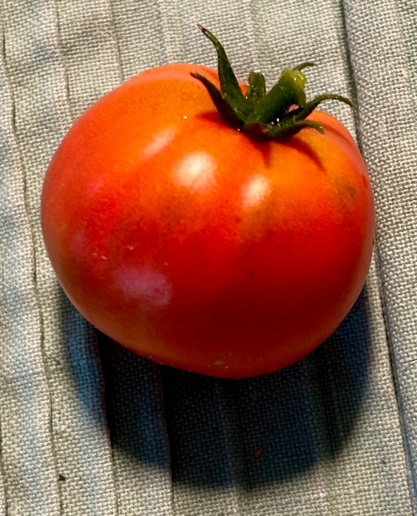 only ripened fruit from the 2025 garden