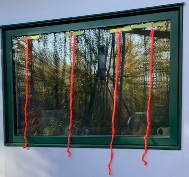 Markers on the south-south-west window.