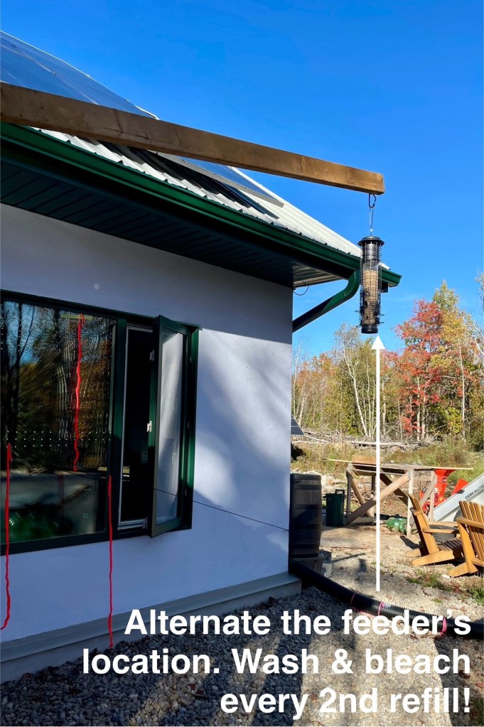 Bird feeders are disease vectors and have to be treated as such. Move the feeders around to keep the animals guessing and reduce ground contamination.