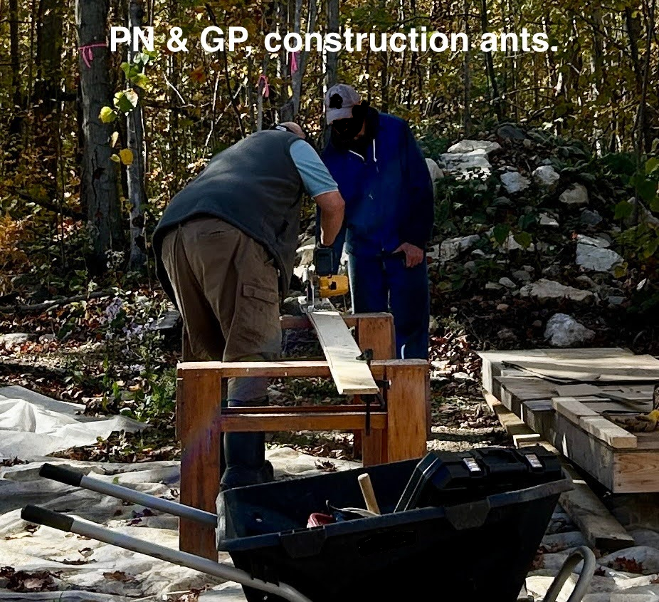 2 men reviewing basic construction skills