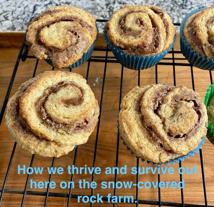 Cinnamon snails baked December 27, 2025.