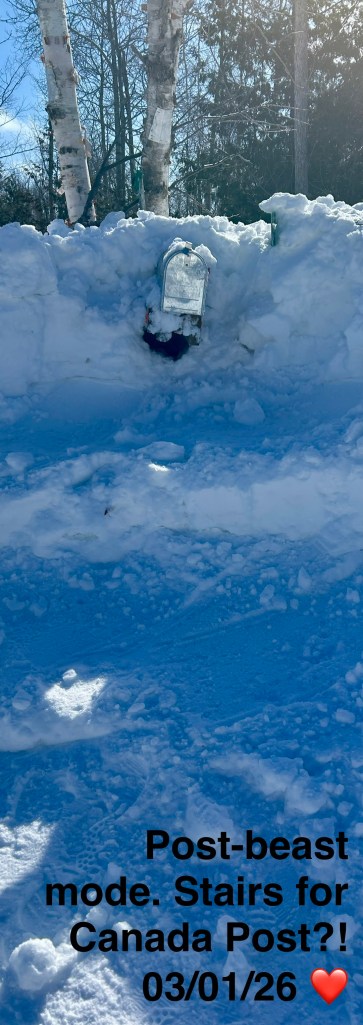 Tobey made a series of access steps to the Canada Post mailbox.