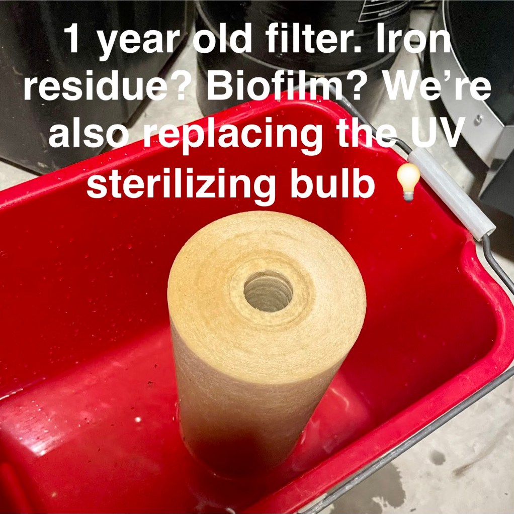 used sediment filter showing biofilm and iron-based compounds caught in its matrix
