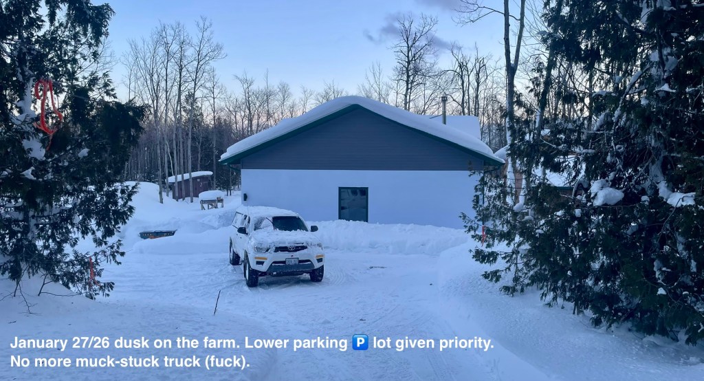 looking towards the house