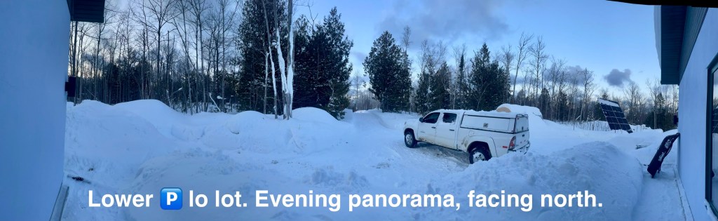 looking from the house towards the north lot