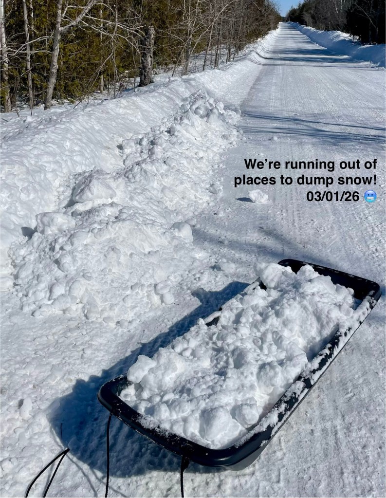 Paul's contribution to the snow clearing effort.