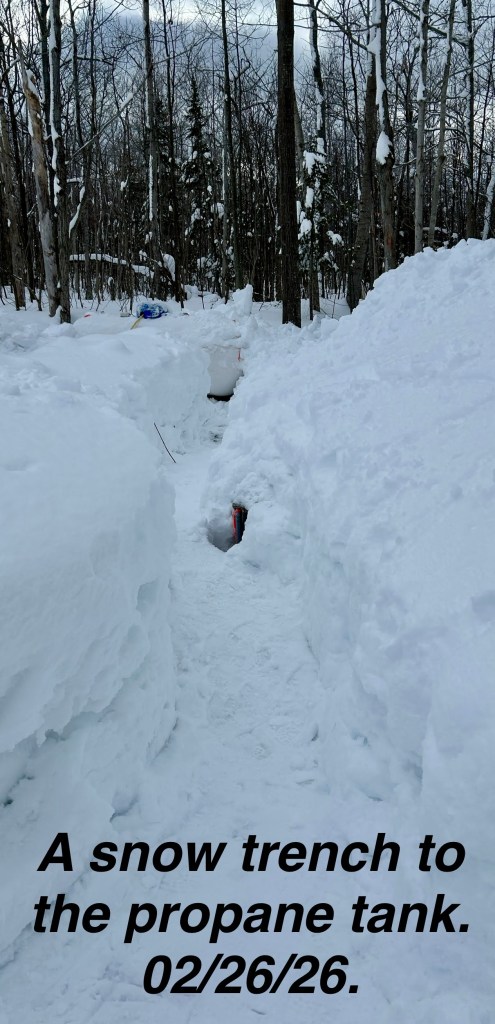 The owners have to dig a path for the propane delivery truck.