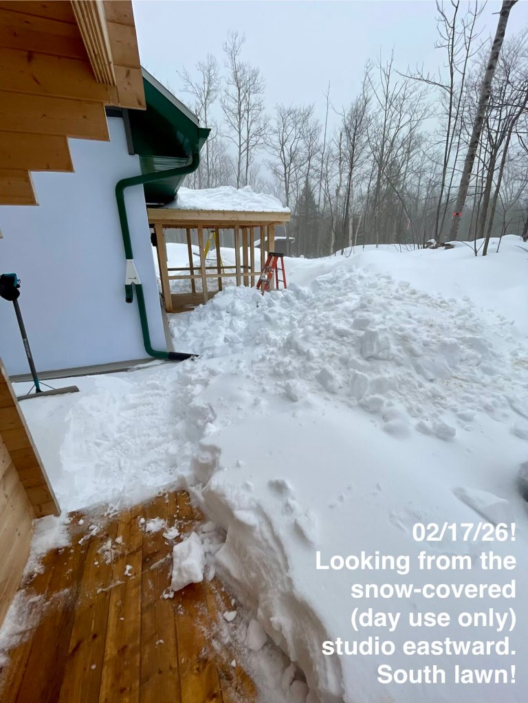 south yard with piles of snow sliding off the metal roof