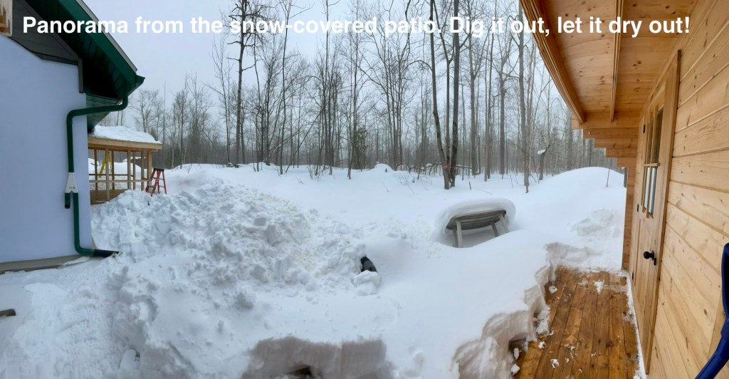 panorama of the bunkie patio, the south yard, and the unattached pavilion 