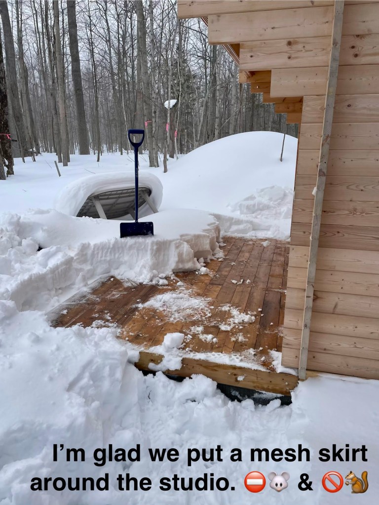 rodents make homes under outbuildings and leave a fucking mess; stop it.