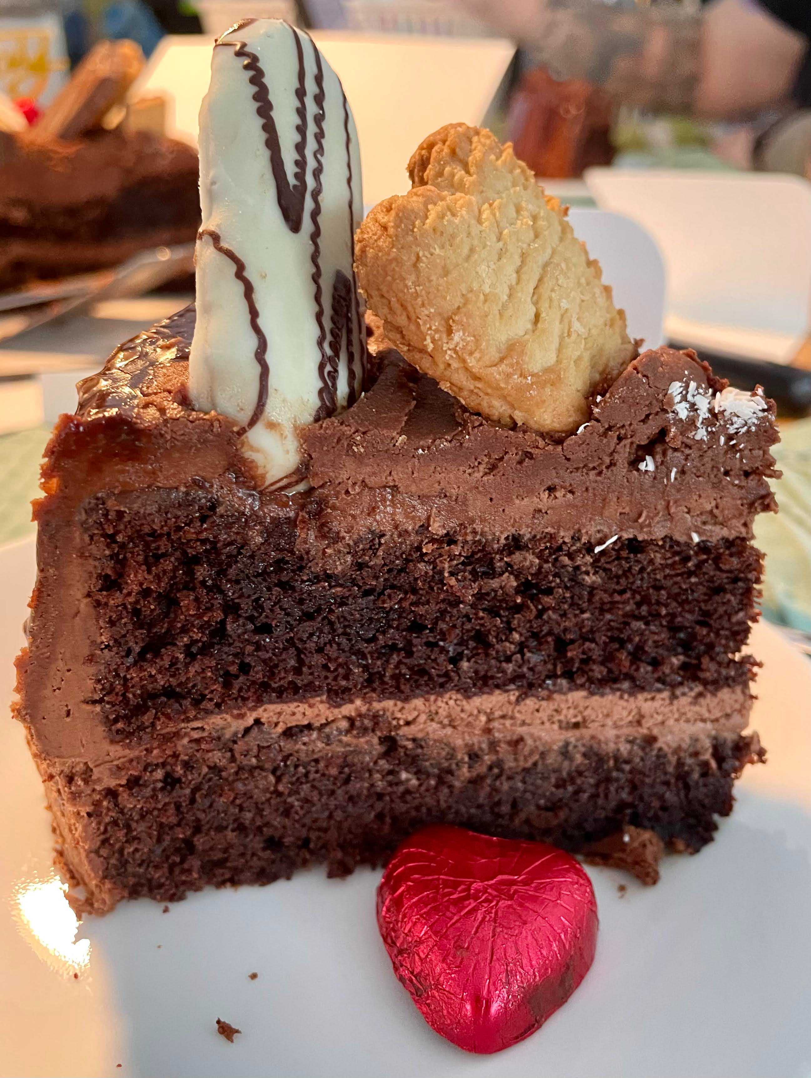 chocolate cake closeup for paul