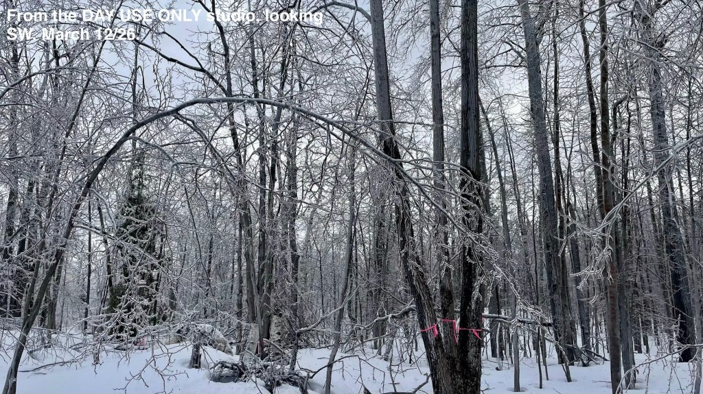 2 years' worth of ice damage