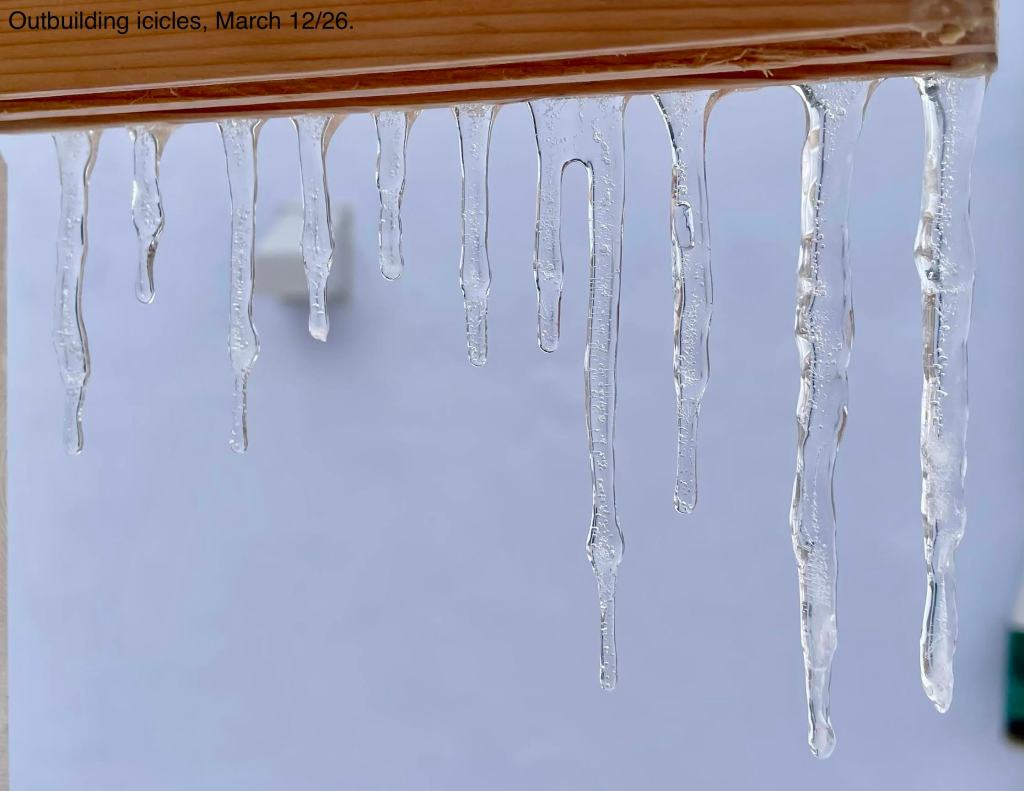 icicles forming on the DAY USE ONLY bunkie