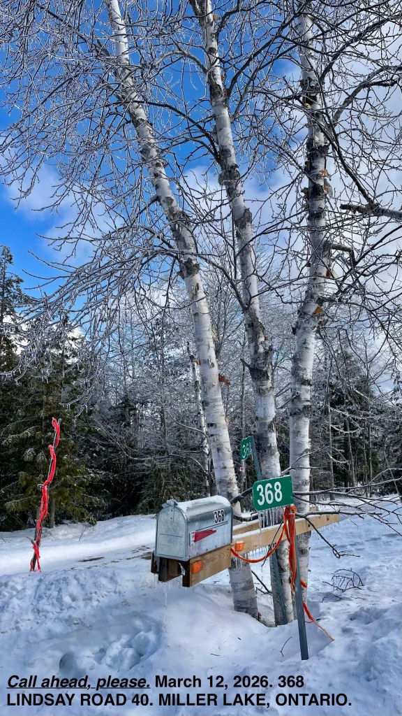 the entrance to our driveway