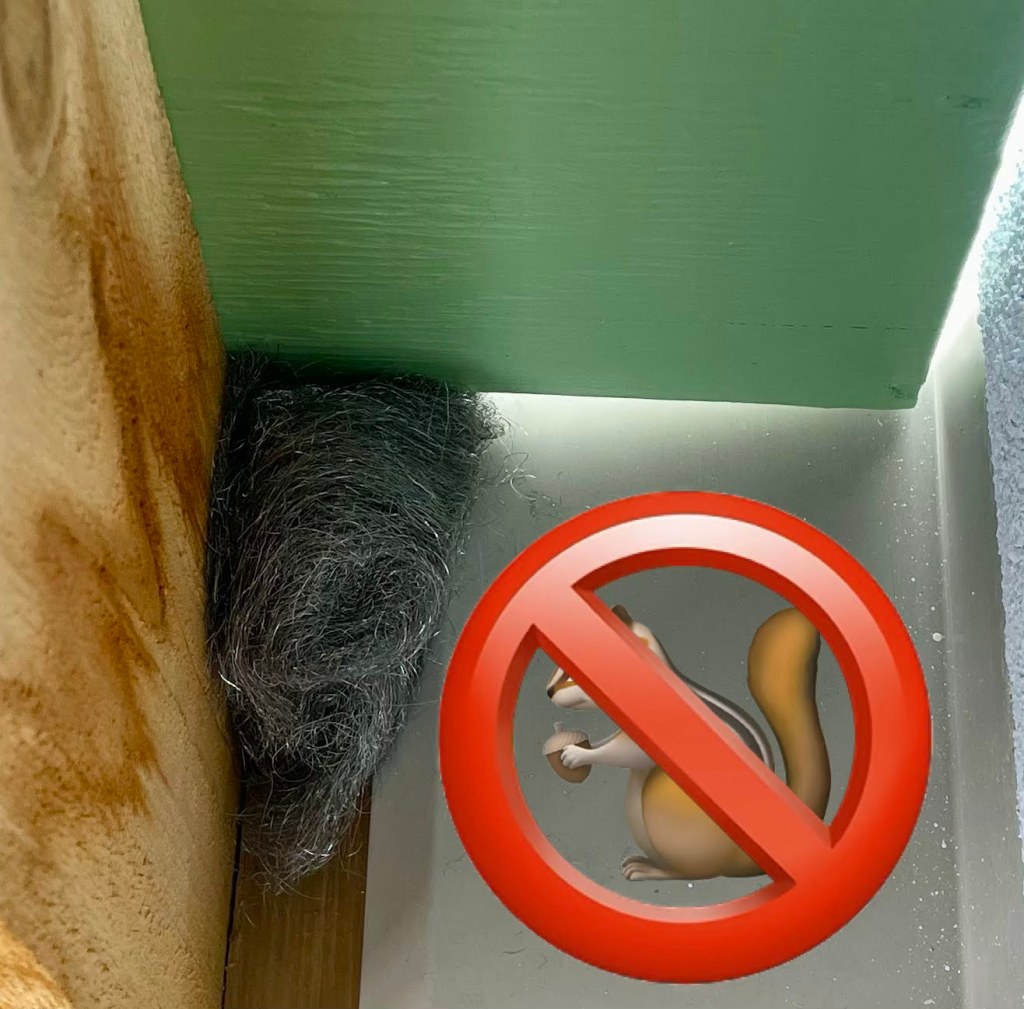 vermin cannot chew through steel wool