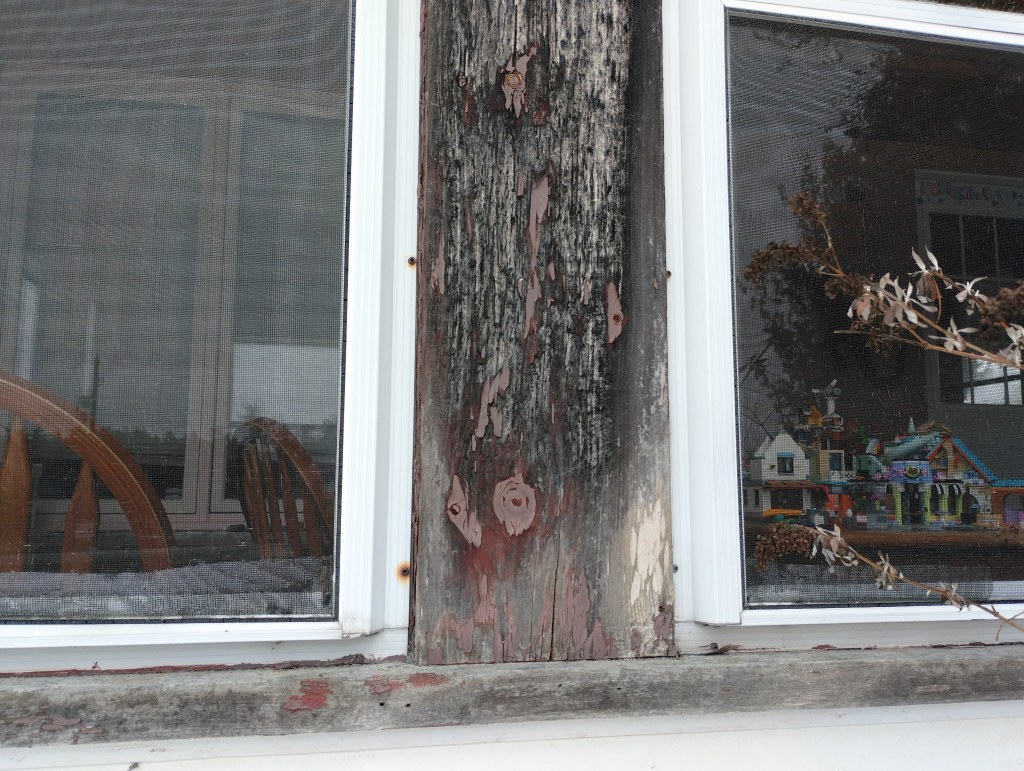 It doesn't need to be fancy. They shouldn't be!!!