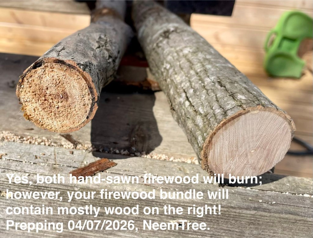 comparing 2 qualities of wood, the left one is punky and the right one is solid fibre.