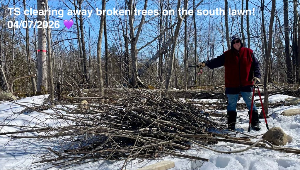tobey posing with today's brush work