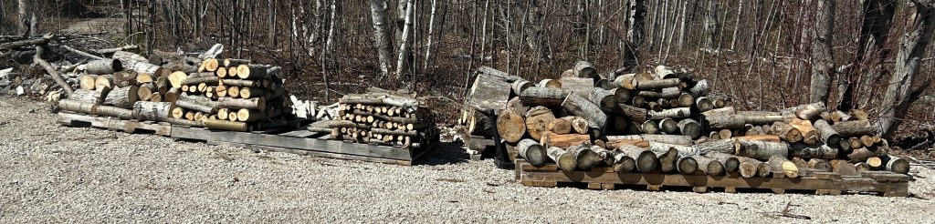 Logs waiting to be split. And drying out.