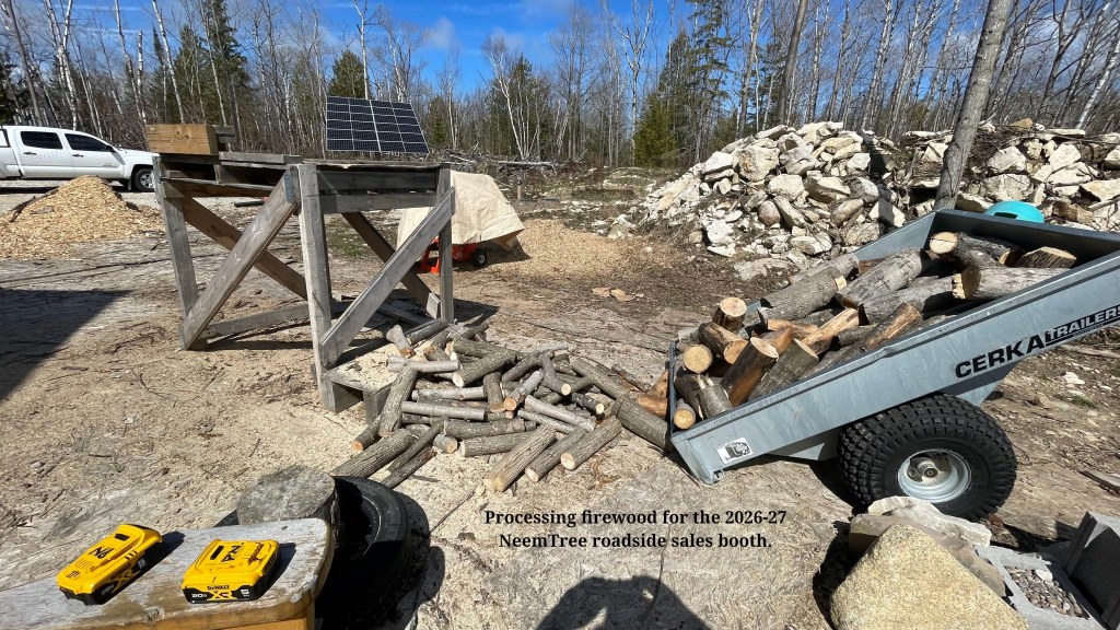 Slicing up logs using battery-powered power-tools.