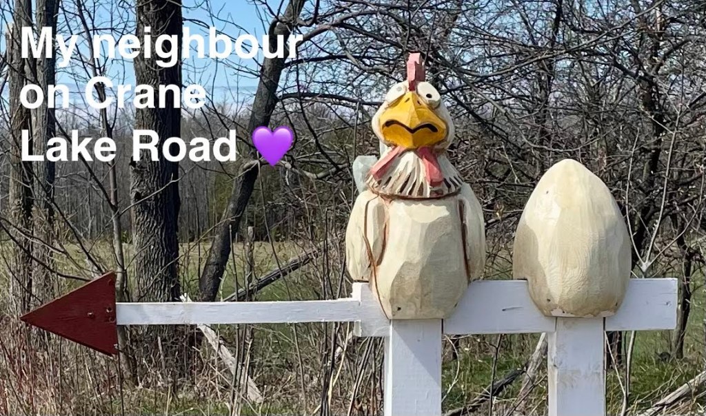 93 Crane Lake Road, Miller Lake, Ontario.