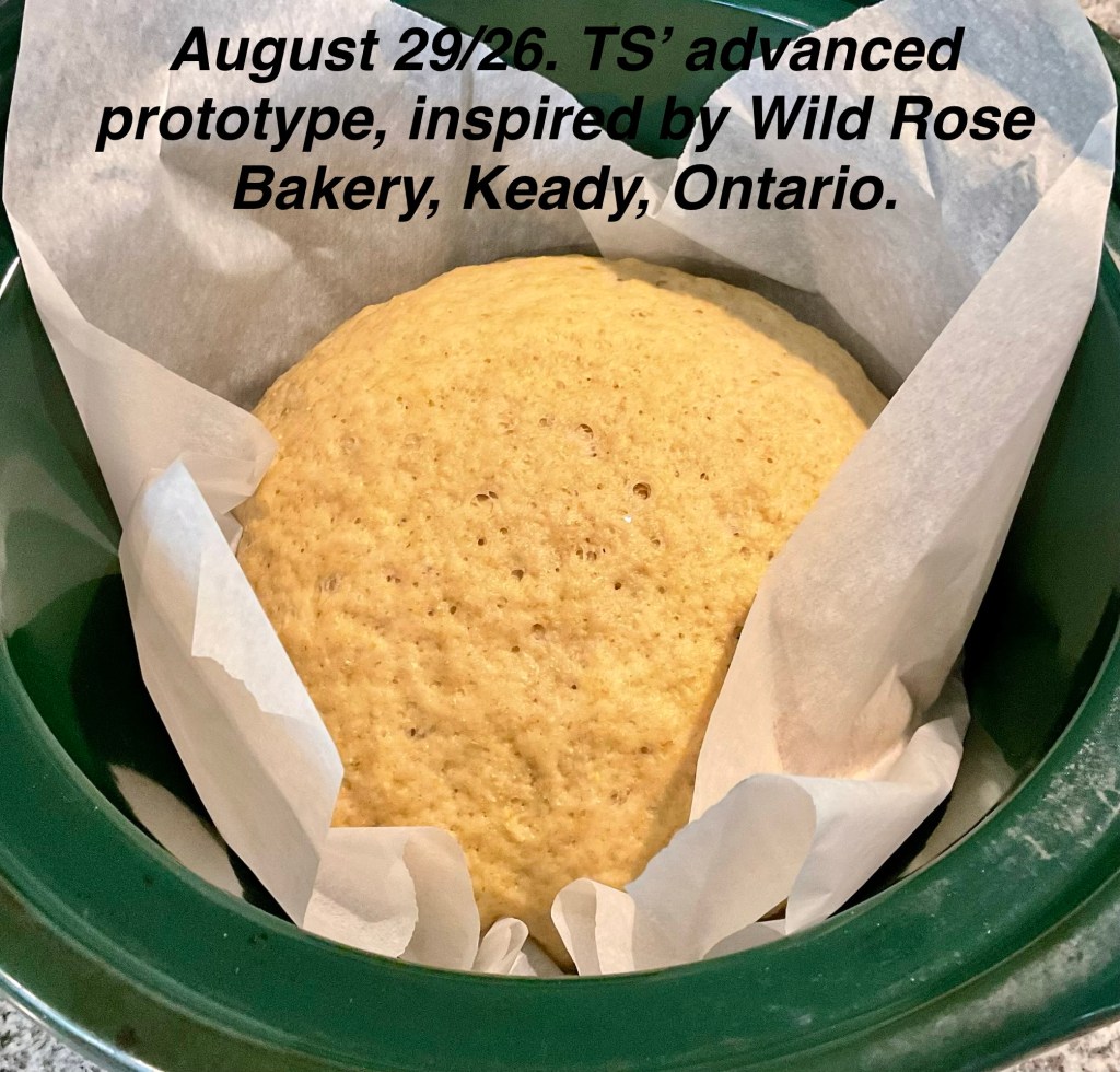 We bought corn from our wedding anniversary trip for a bread recipe.